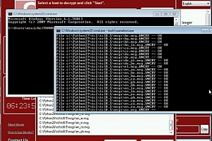 勒索病毒Wanacry2.0样本
