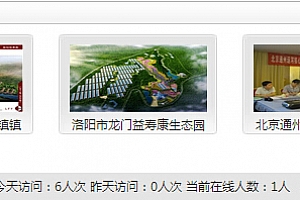 dede在线实时访问统计插件