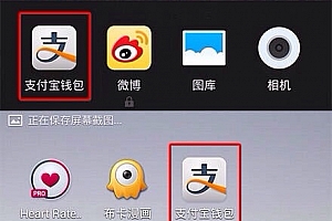 支付宝钱包手机客户端曝安全漏洞,连续输错5次可解锁