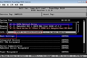Dell R710优化开机速度关闭DHCP