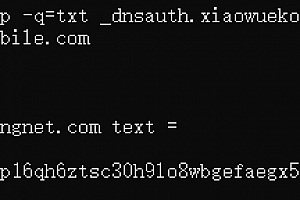 DNS查询TXT记录