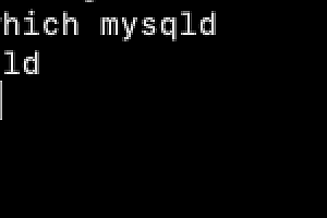 linux查找Mysql配置文件
