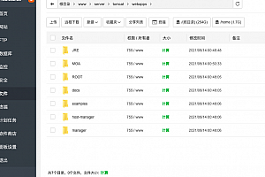 宝塔面板Nginx1.18.0+tomcat7.0.76环境