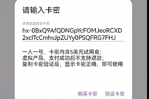 自研发chatgpt app
