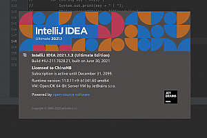IDEA和android studio汉化中文语言包