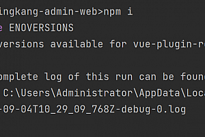 vue admin pro项目 vue-plugin-rely报错