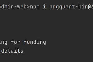 vue \node_modules\pngquant-bin\vendor\pngquant.exe