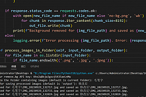 Python 调用 remove bg api 批量去除图片背景