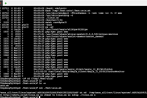 linux服务器被执行了蠕虫命令