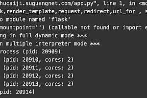 宝塔 No module named 'flask'